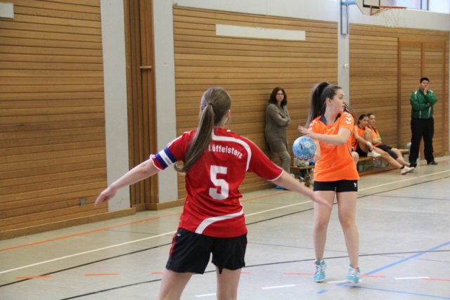 2017_01_08 Landesliga Frauen u. J19